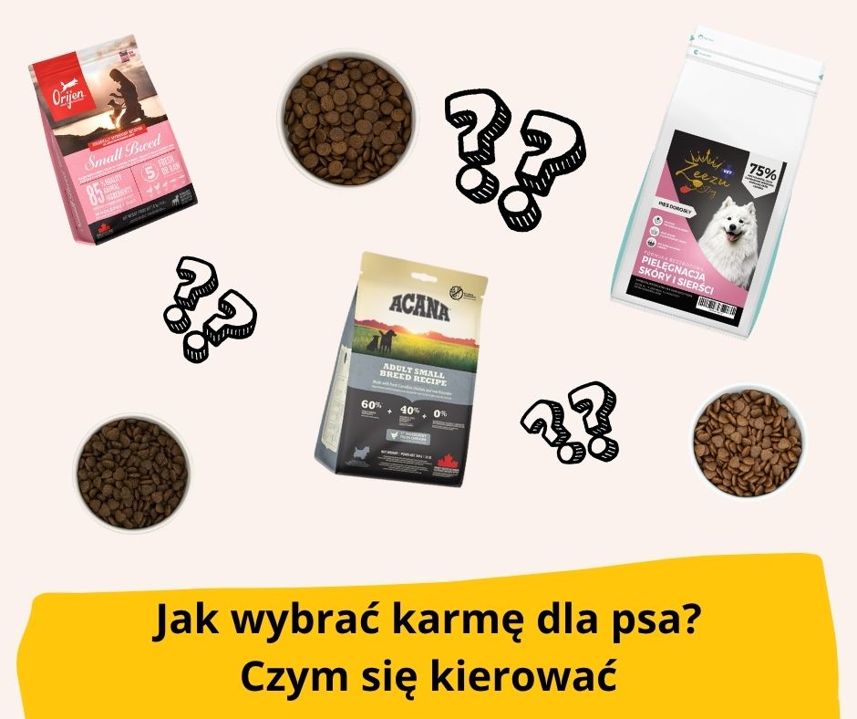 jak wybrać karmę dla psa, czym się kierować