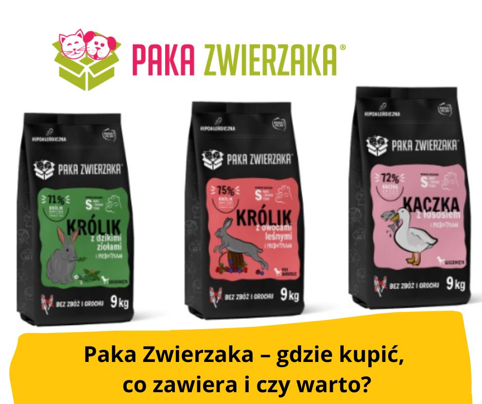 blog-fika-town-PAKA-ZWIERZAKA