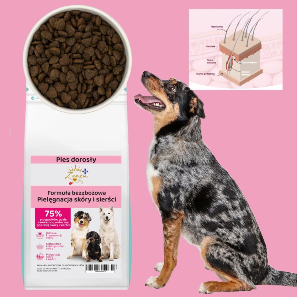 zeezu vet skin and coat blog zeezu vet skin and coat blog