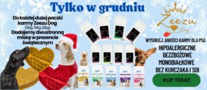baner zeezu dog grudniowa promocja